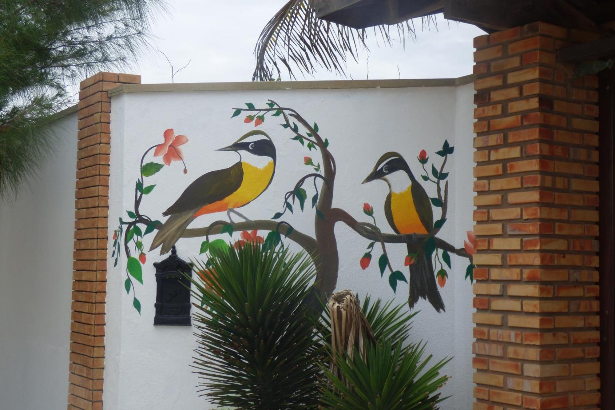 A Toca Do Bem-Te-Vi Hotel Águas Belas Kültér fotó